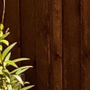 Meet your Posher, Dylan